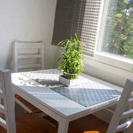 Apartamento Rauhalantie Studio